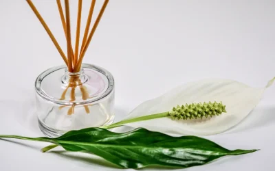 Aromatherapy for Focus and Productivity