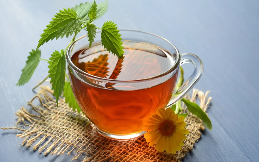 Best Essential Oils for Women’s Health